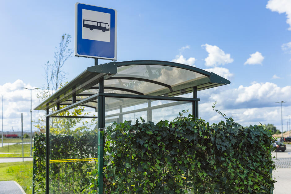 Wiata przystanku autobusowego obrośnięta bluszczem.