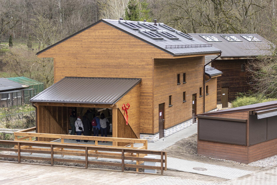 Budyneczek z drewna pośród drzew