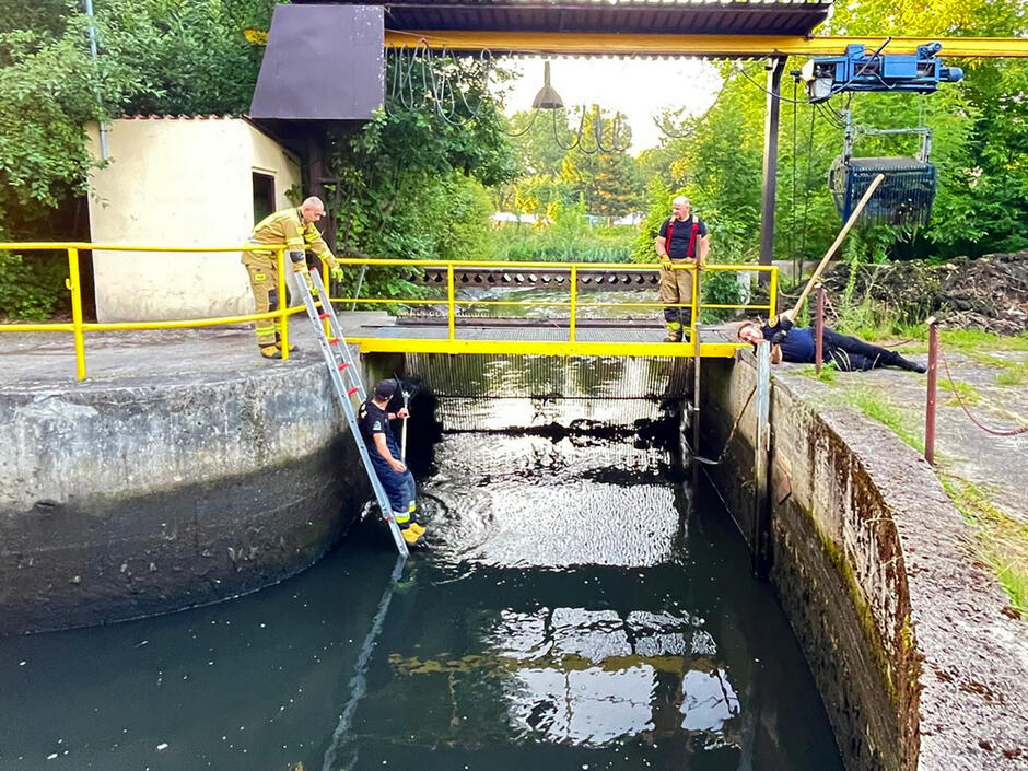 Strażnicy miejscy i strażacy biorą udział w akcji ratowania bobra w kanale.