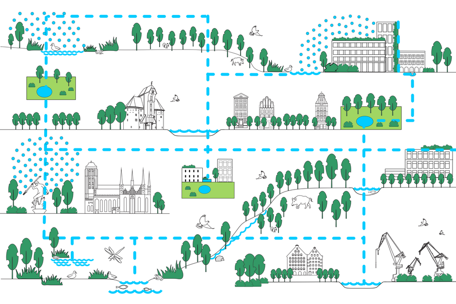 Grafika przedstawia schemat funkcjonowania błękitno-zielonej infrastruktury w mieście, ukazujący powiązania między terenami zielonymi, wodami i zabudową poprzez ciągi ekologiczne i retencję wody. Zaznaczone korytarze umożliwiają przepływ wody, powietrza i migrację organizmów, wspierając zrównoważony rozwój przestrzeni miejskiej. 