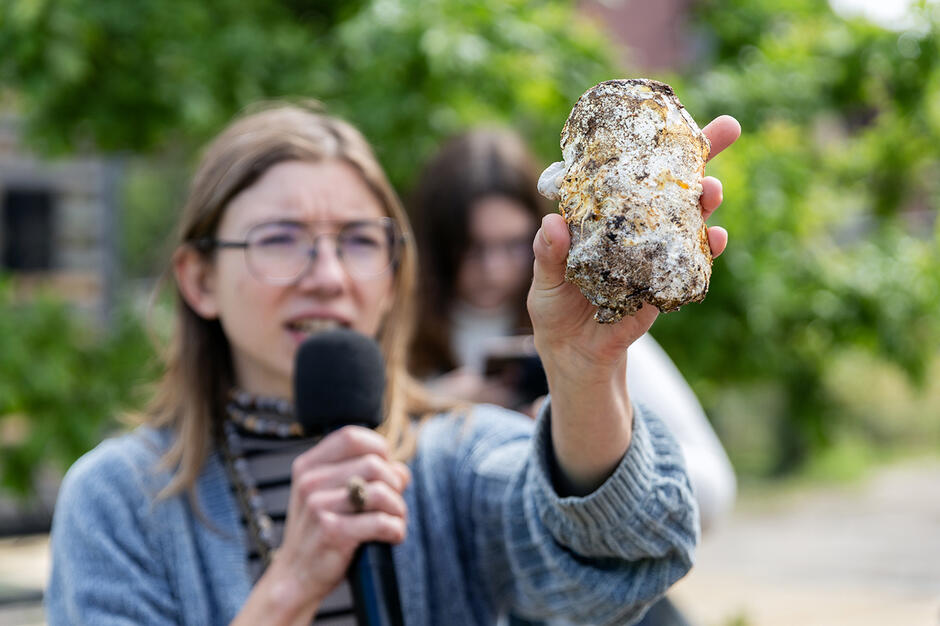 Młoda kobieta wyciąga rękę, w której trzyma grzybnie boczniaka.