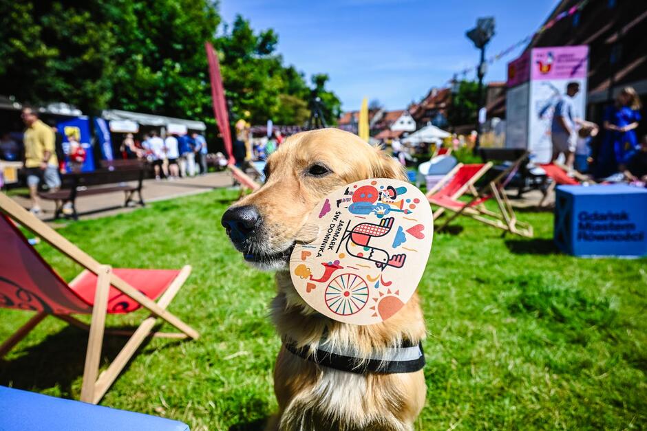 JSD_MG_20230727_050-2