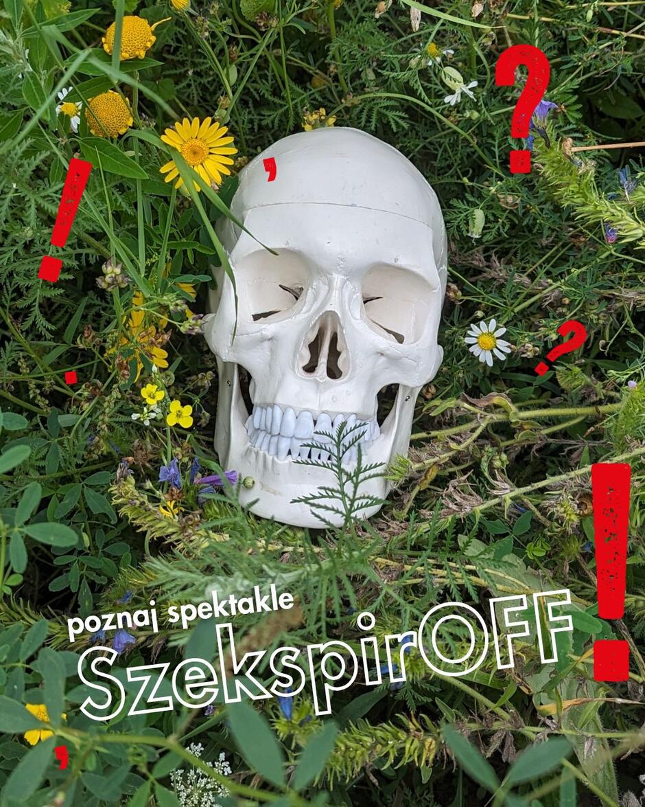 Plastikowa czaszka leży wśród trawy i kolorowych kwiatów, otoczona czerwonymi znakami interpunkcyjnymi. Na dole widnieje napis: „poznaj spektakle SzekspirOFF”.