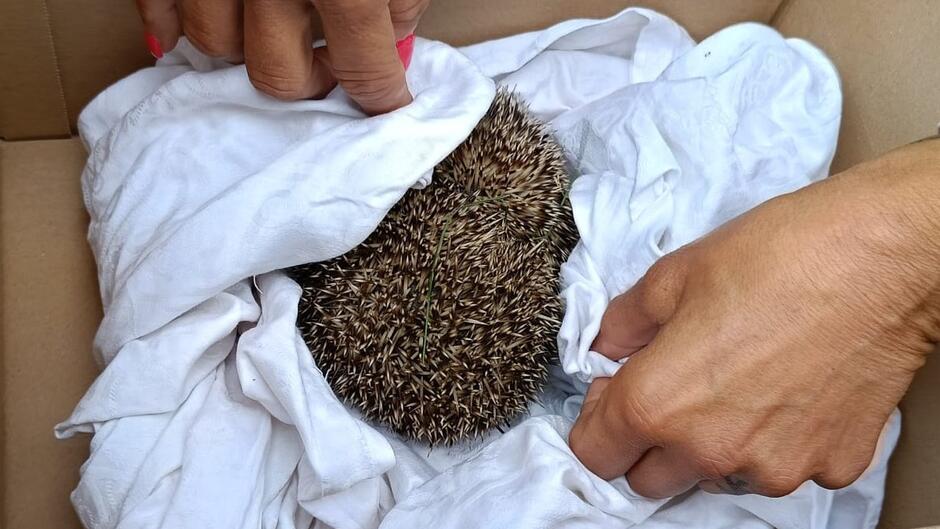 526074297_1059174336404726_7240123380303769345_n