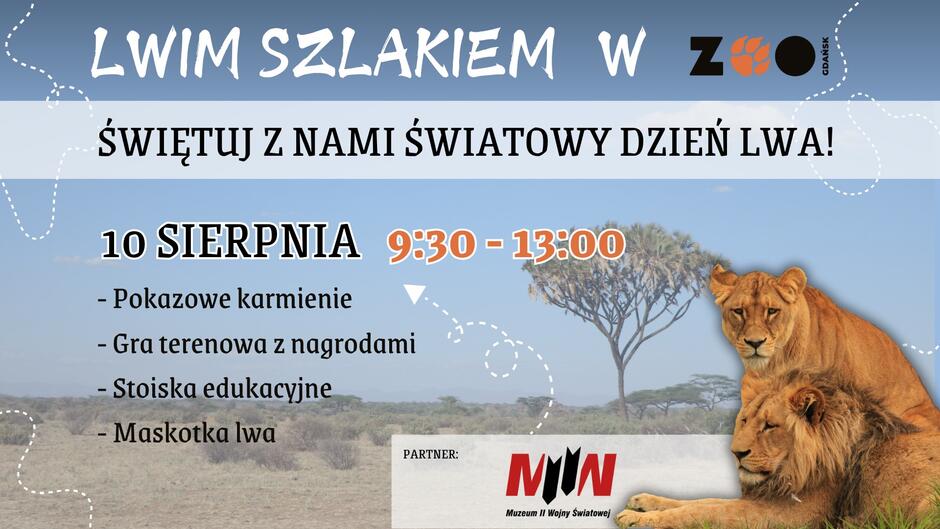 Grafika informująca o Światowym Dniu Lwa w Gdańskim Ogrodzie Zoologicznym. Na grafice wykorzystano zdjęcie lwów i sawanny.