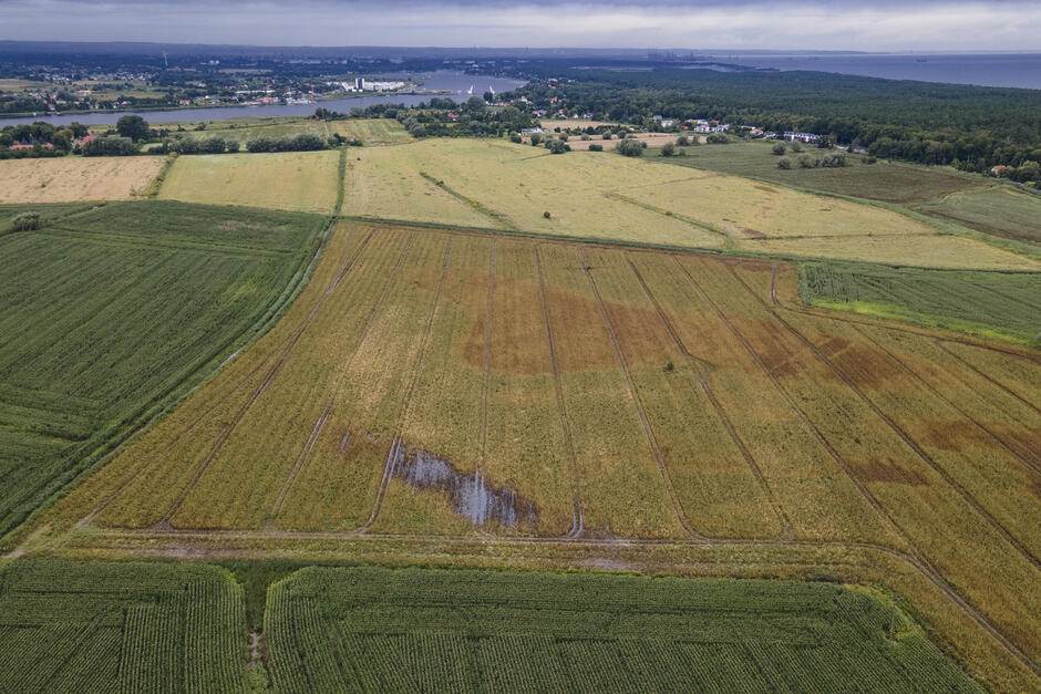 Zdjęcie z lotu ptaka, widok na pola, w tle widać rzekę i morze.