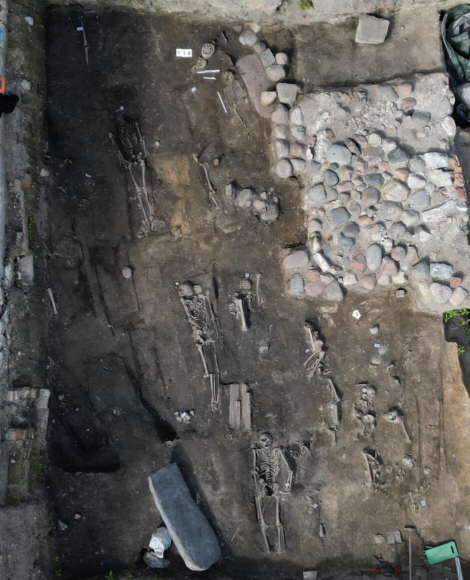 Zdjęcie z lotu ptaka, widać szkielety odkopane przez archeologów