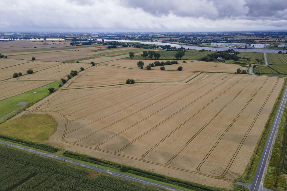 Zdjęcie z lotu ptaka. Pola ze zbożem uszkodzone przez ulewne deszcze.