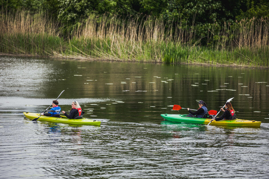 Dwa kajaki płyną rzeką. W kajakach siedzą po dwie osoby.