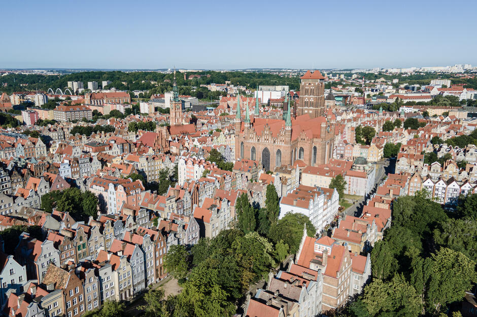 Na zdjęciu widać panoramę Gdańska z charakterystycznymi czerwonymi dachami kamienic i monumentalną Bazyliką Mariacką górującą nad zabudową. W tle rozciąga się zieleń oraz nowocześniejsze części miasta. 