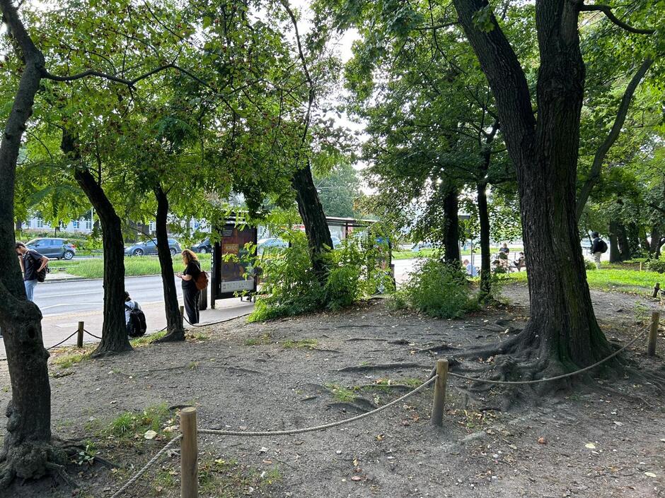 Mały park w mieście z piaskowymi łachami zamiast trawnika.