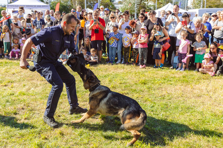 na zdjęciu policjant trenuje z psem typu owczarek niemiecki, w tle przygląda się im tłum ludzi