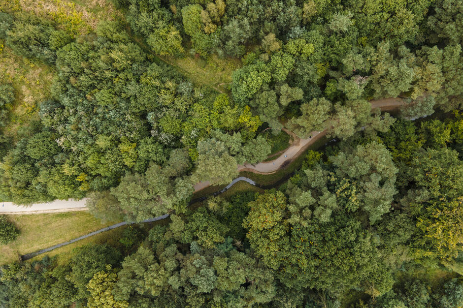 Zdjęcie z lotu ptaka, widok na tereny zielone w mieście.