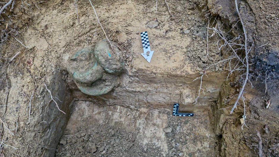 550258254_1192096579614327_8248606847134099109_n