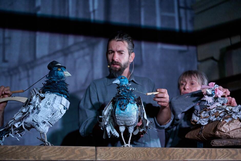 552384010_1192386549582584_5234105119867507063_n