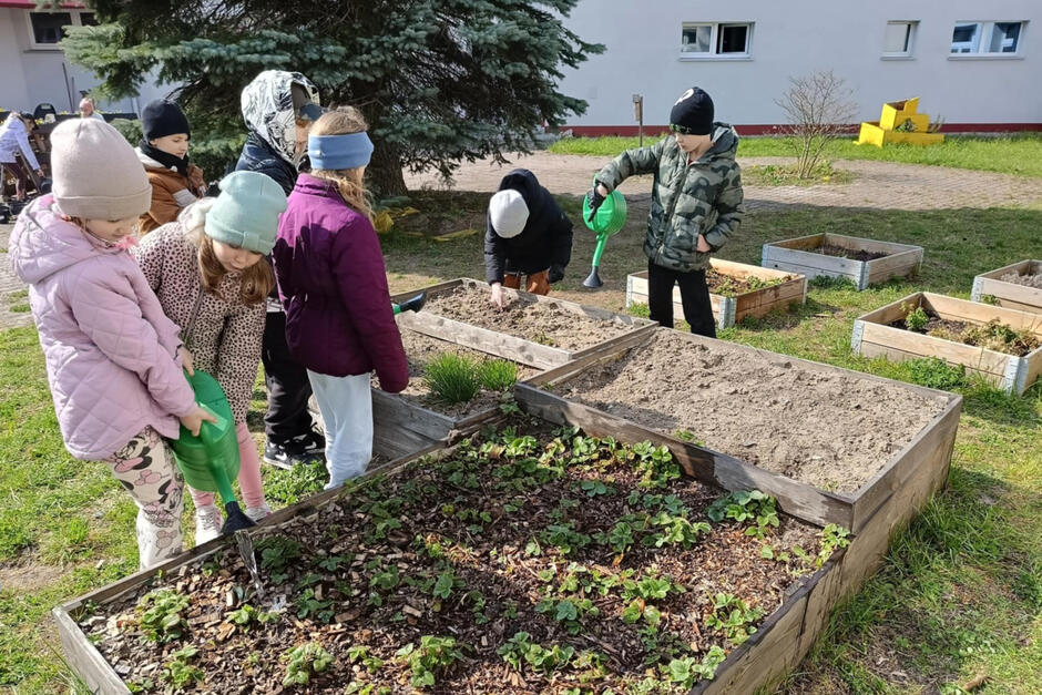 Dzieci podlewają grządki na terenie szkolnym.