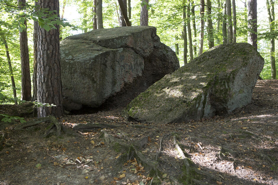Wielkie głazy w lesie.