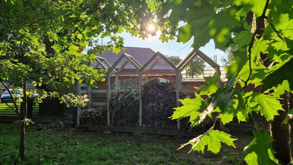 Konstrukcja w stylu altany wypełniona gałęziami, stojąca na trawniku, otoczona drzewami