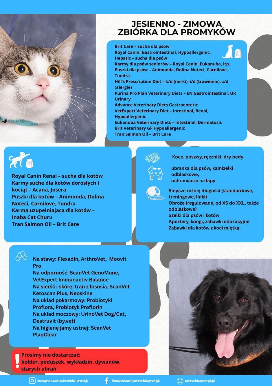 Grafika ze zdjęciami kota i psa oraz listą rzeczy potrzebnych dla zwierzaków w schronisku dla bezdomnych zwierząt. 