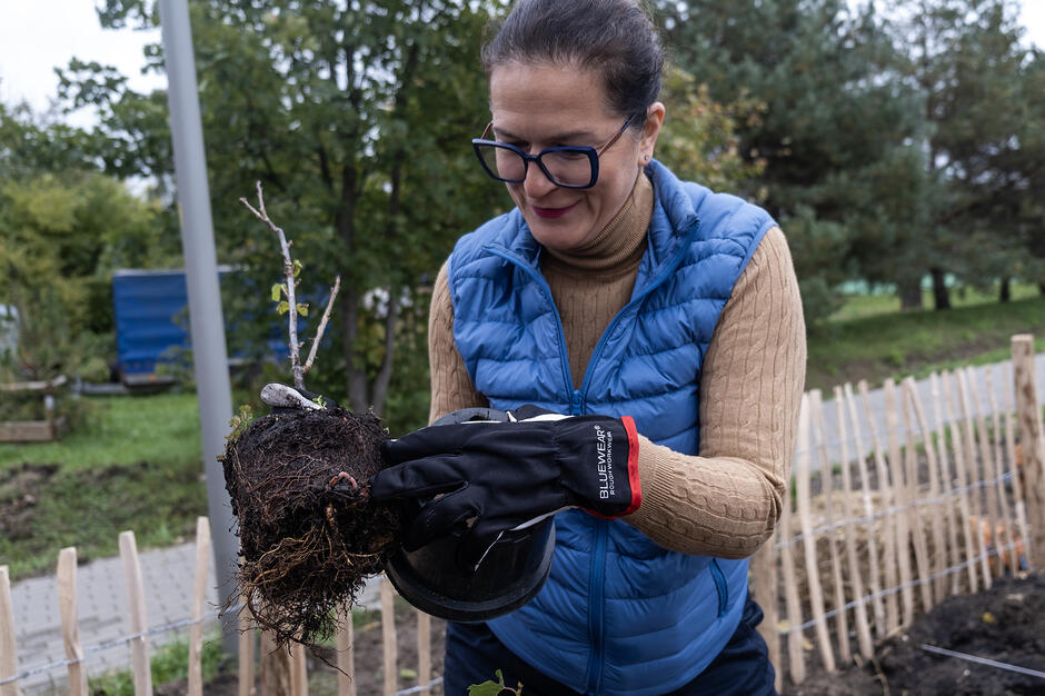 Kobieta trzyma sadzonkę drzewa i pokazuje na dżdżownicę.