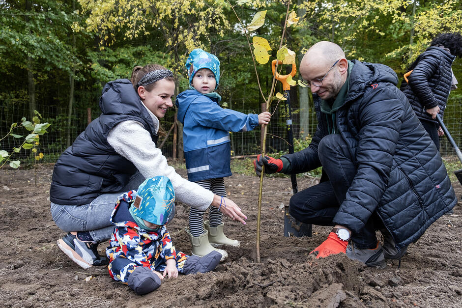 Ludzie sadzą drzewka na leśnej polanie.