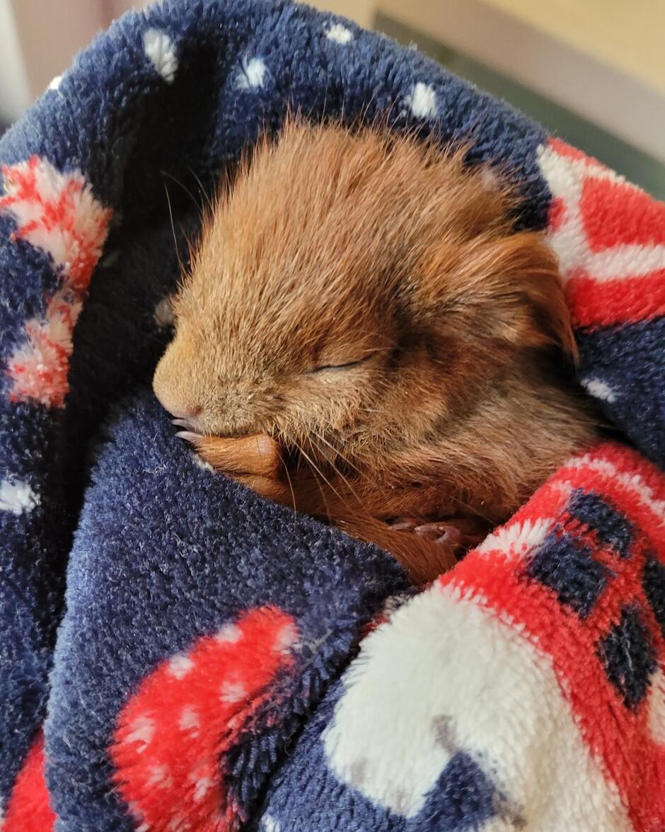 556874509_1304337278156710_1638760170788780345_n