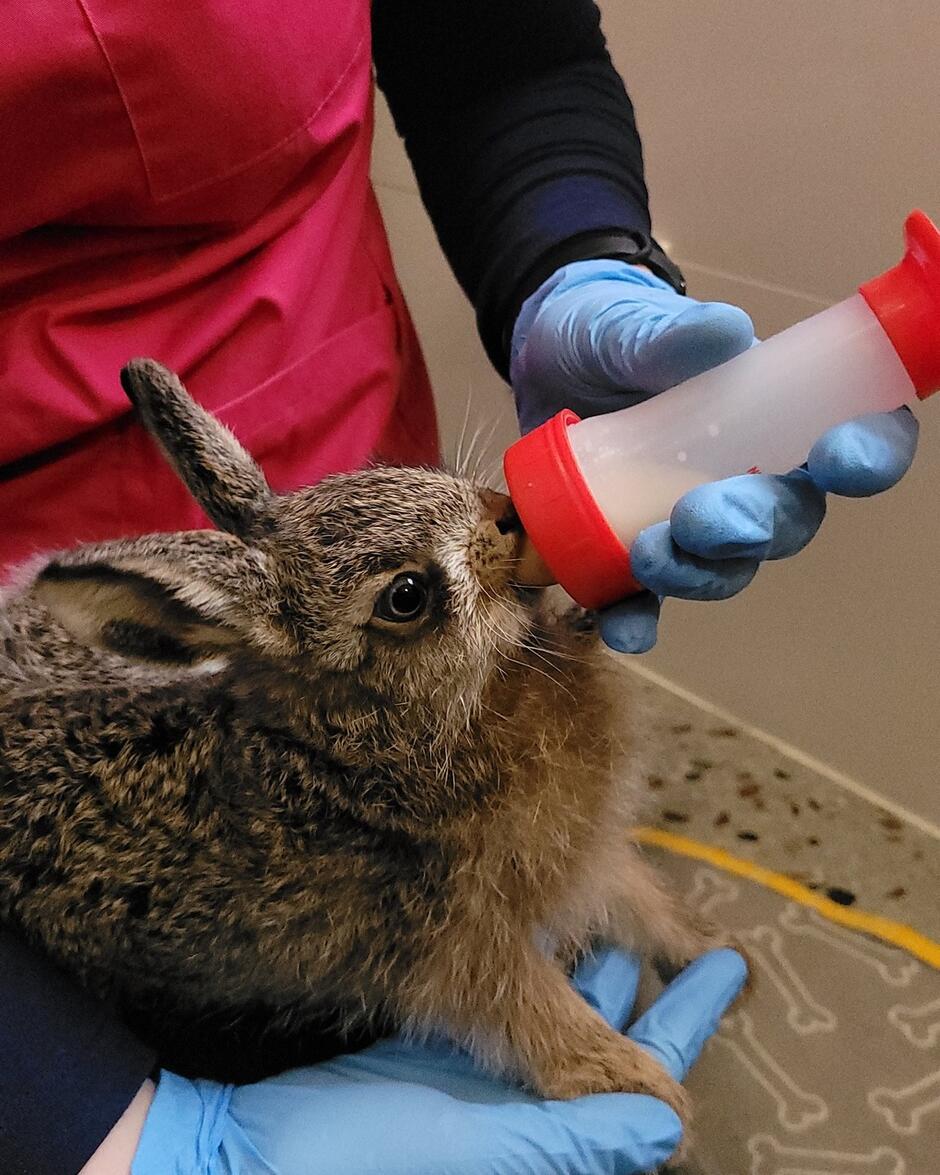 555424351_1304337291490042_2075380361593769805_n