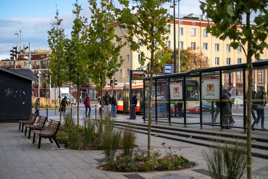 Zdjęcie przedstawia przystanek autobusowy w Gdańsku otoczony nowo posadzonymi drzewami i roślinnością. W tle widać przechodniów oraz autobus zatrzymujący się przy wiacie z herbem miasta.
