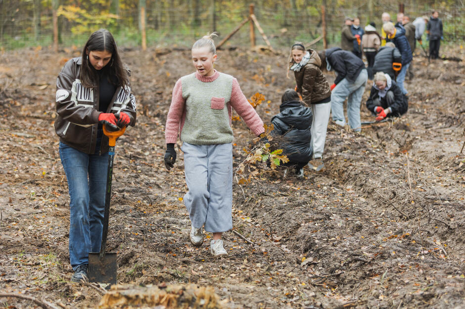 Uczniowie sadzą las.