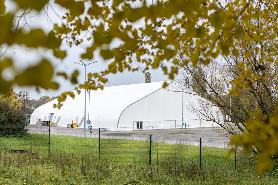 biały namiot halowy w tle, na pierwszym planie liście na gałęzi drzewa