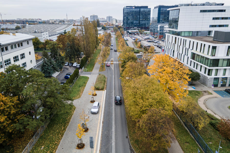 Widok ulicy, pokazany w jej osi - na lewo i prawo są drzewa i zabudowania