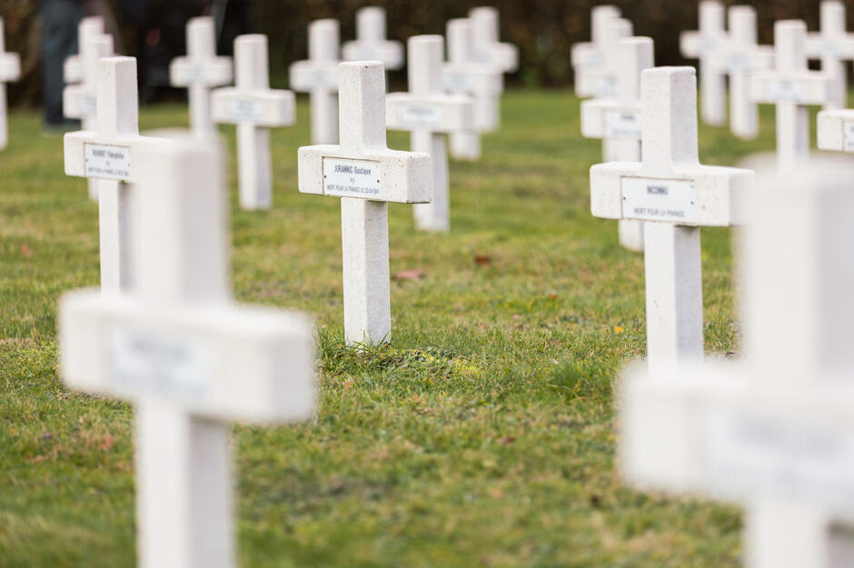 gcm-download-2500-rocznica-zawieszenia-broni-7.3011d8e4