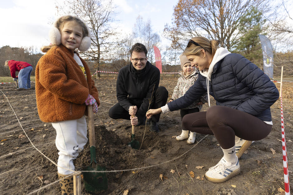 na zdjęciu mała dziewczynka z jasnymi nausznikami, trzyma łopatkę, obok kuca jej mama trzyma sadzonkę, w tle mężczyzna i chłopiec też kucają