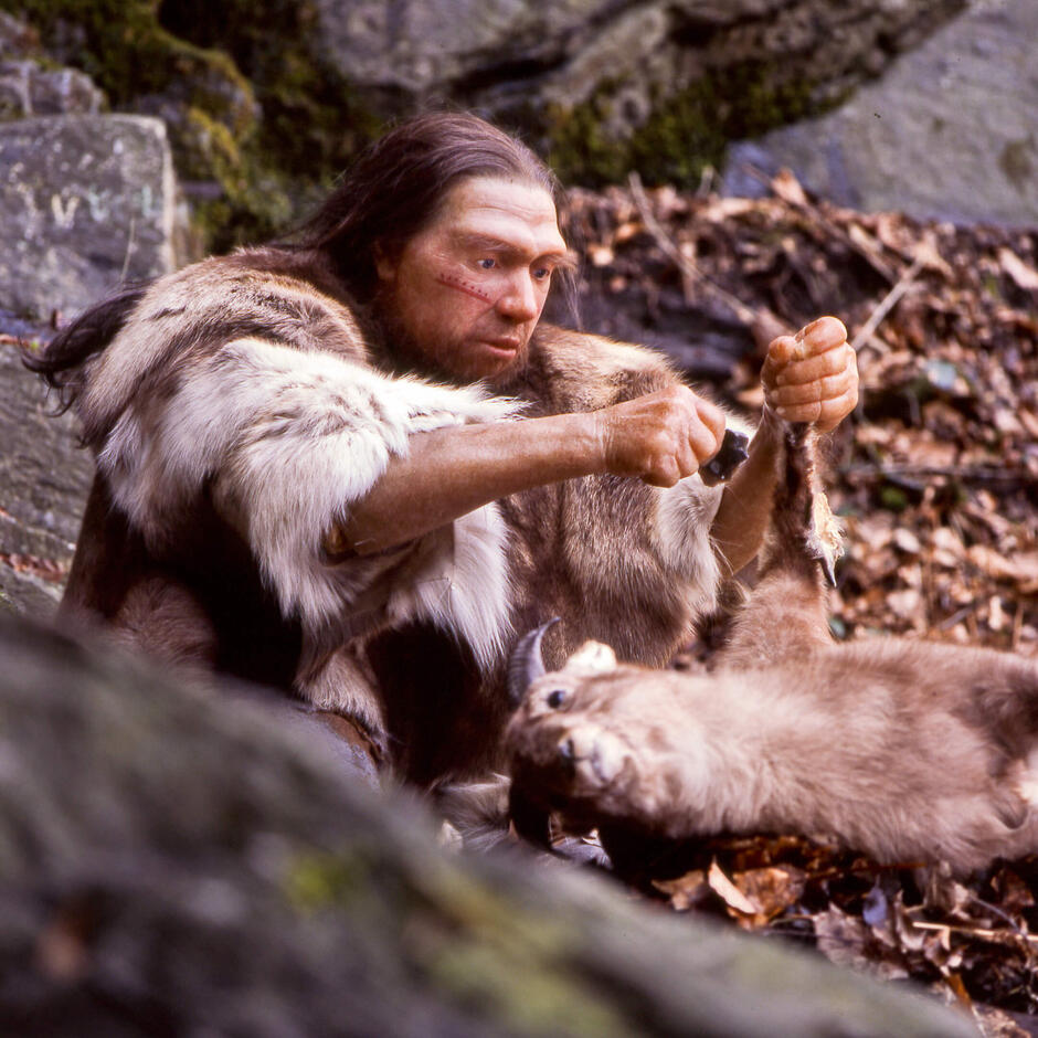 Neanderthal-Museum, Mettmann