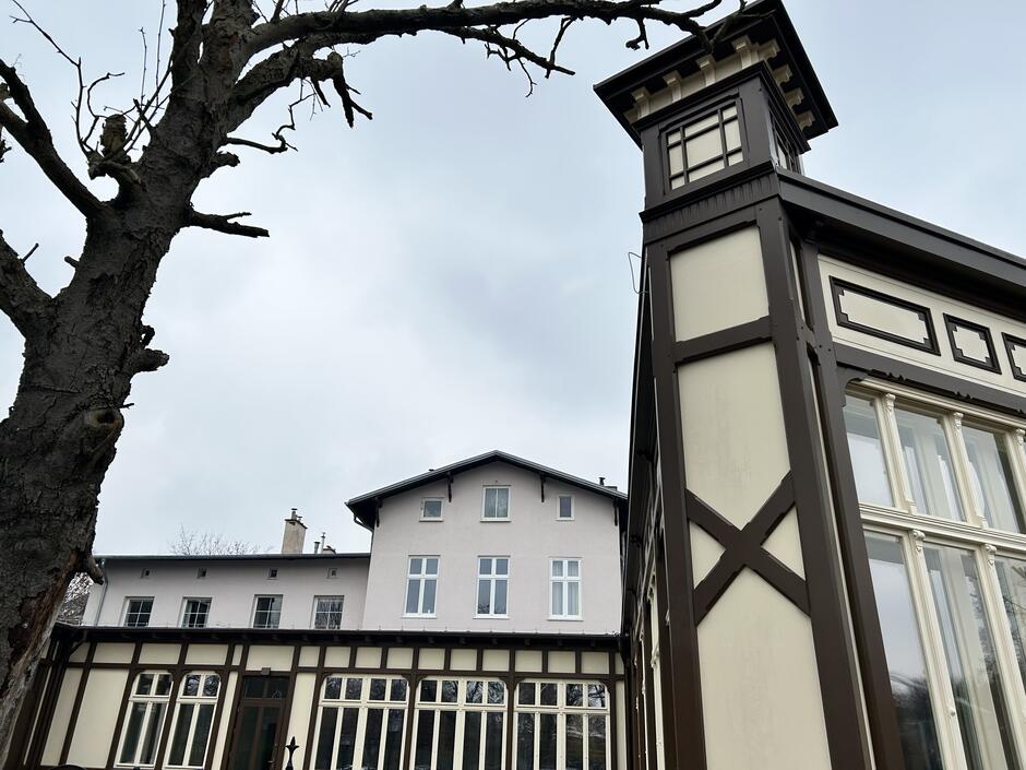 zbliżenie na ozdobny detal na ścianie zewnętrznej budynku, po lewej pień jesiennego drzewa bez liści