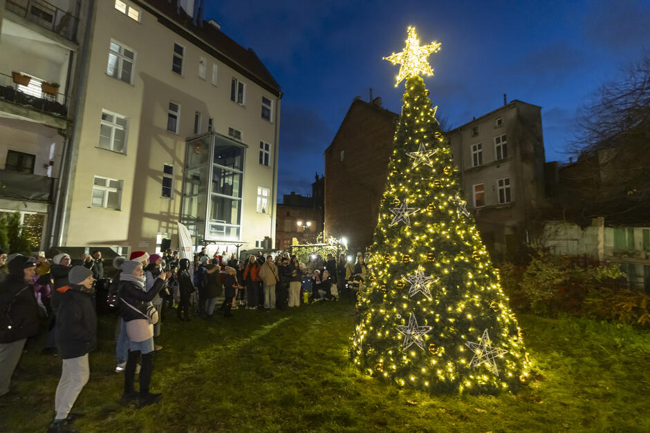 duża choinka pomiędzy dwiema kamienicami w nocy. Drzewo jest ozdobione białymi światłami i ma gwiazdę na górze. Jest otoczone tłumem ludzi, z których niektórzy robią zdjęcia i filmy, jest ciemno