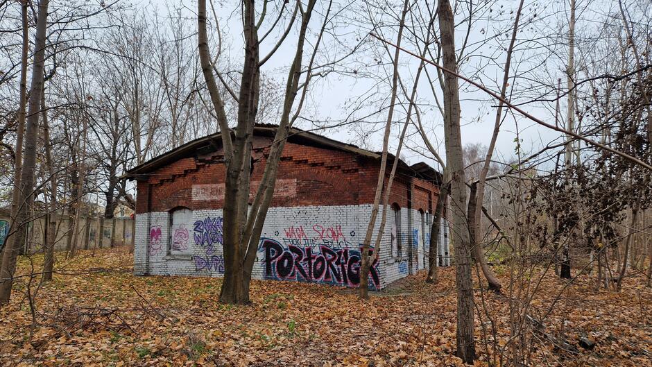 Ceglany budynek wśród drzew, pomazany grafitti