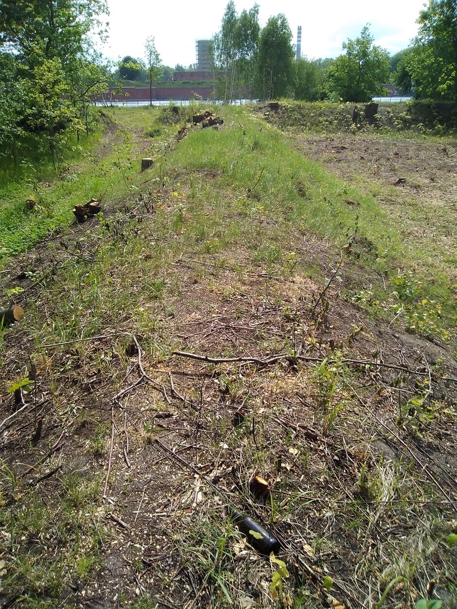 Niski ziemny wał na głównym planie, a w tle Twierdza Wisłoujście