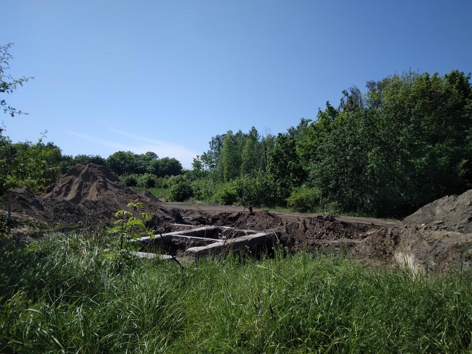 Odkopana betonowa struktura w kształcie prostokąta. Wokół trawy i krzaki, z tyłu drzewa