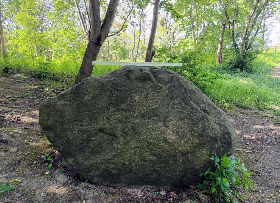Duży głaz w otoczeniu zieleni.