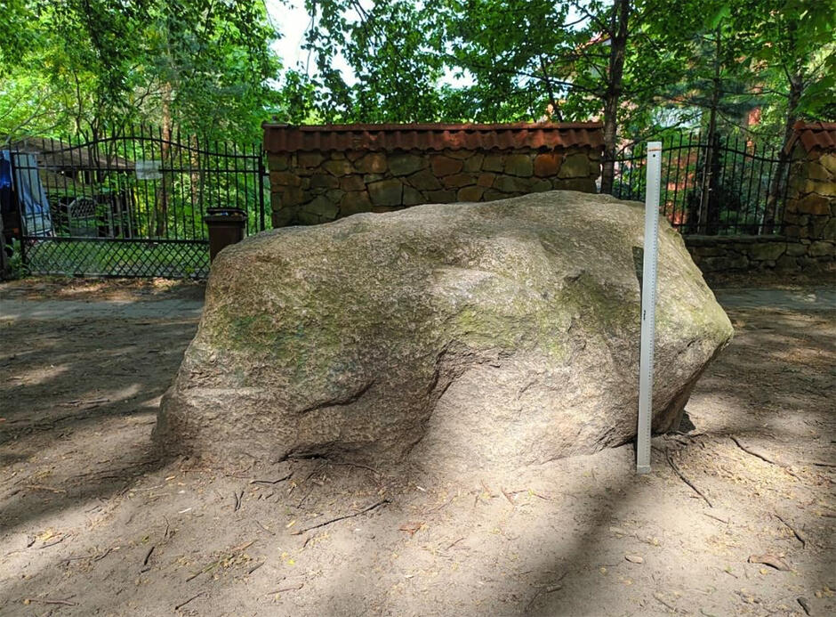 Duży głaz narzutowy przed płotem posesji, obok niego postawiona metrowa miara.
