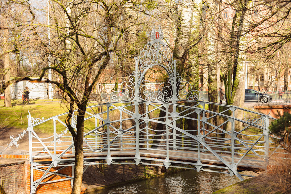 Wyremontowany mostek Mały Błędnik