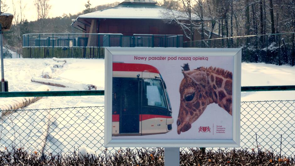 Tabliczka na płocie wybiegu dla żyraf informująca o honorowym opiekunie żyrafy. 