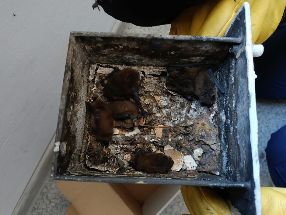 626647616_1206942338294591_7646723690701535777_n