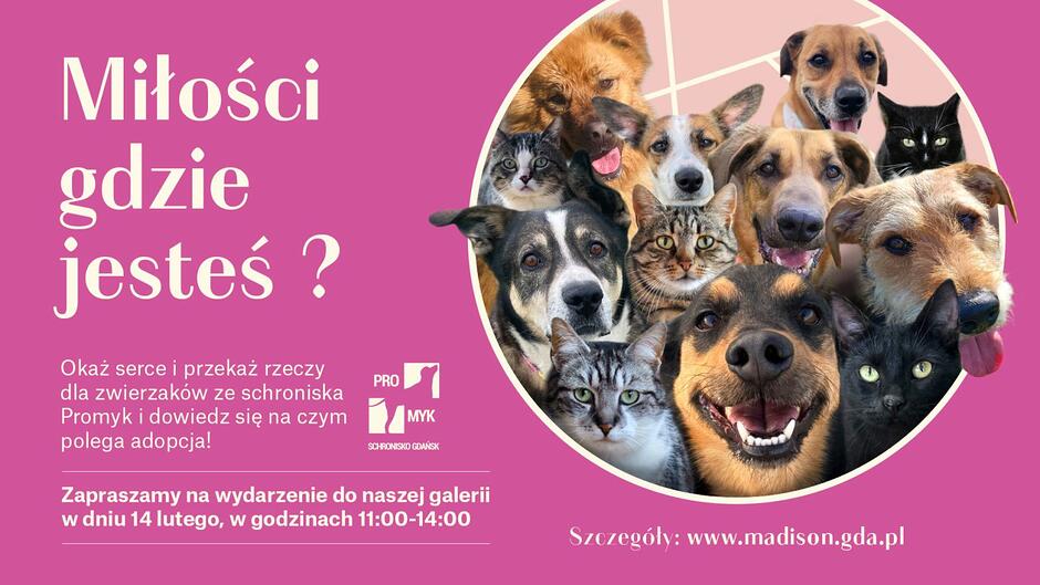 walentynki_23012026_1920x1080