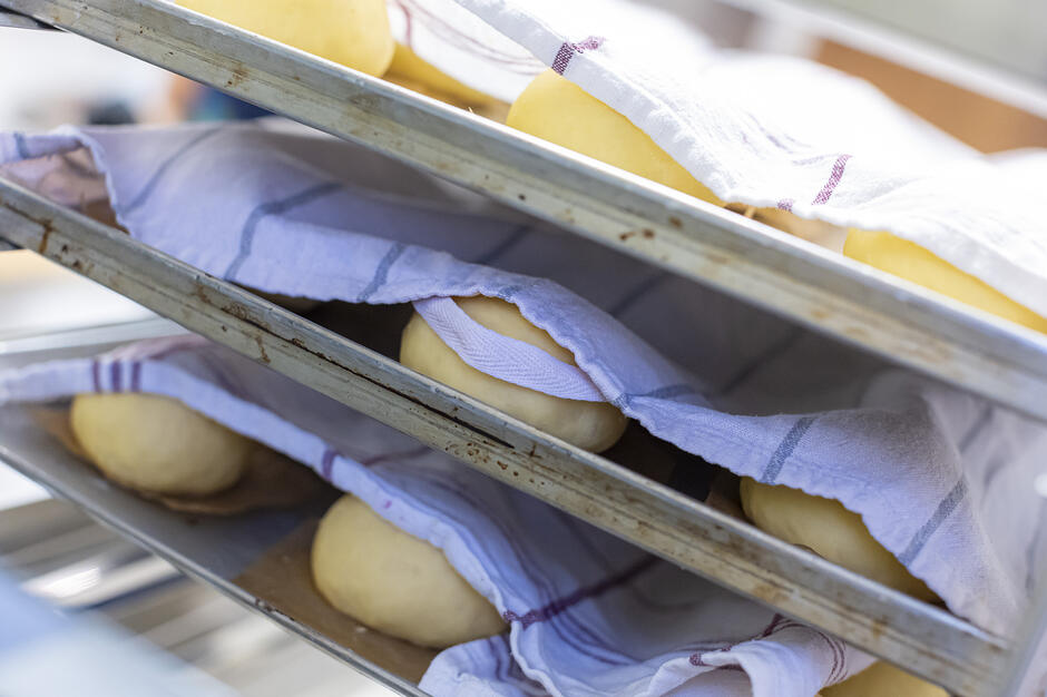 Zdjęcie przedstawia okrągłe kawałki surowego ciasta drożdżowego, ułożone na blachach i przykryte jasnymi ściereczkami kuchennymi. Ciasto prawdopodobnie garuje, czyli wyrasta w cieple przed pieczeniem, co jest kluczowym etapem przygotowania pysznych bułek lub pączków.
