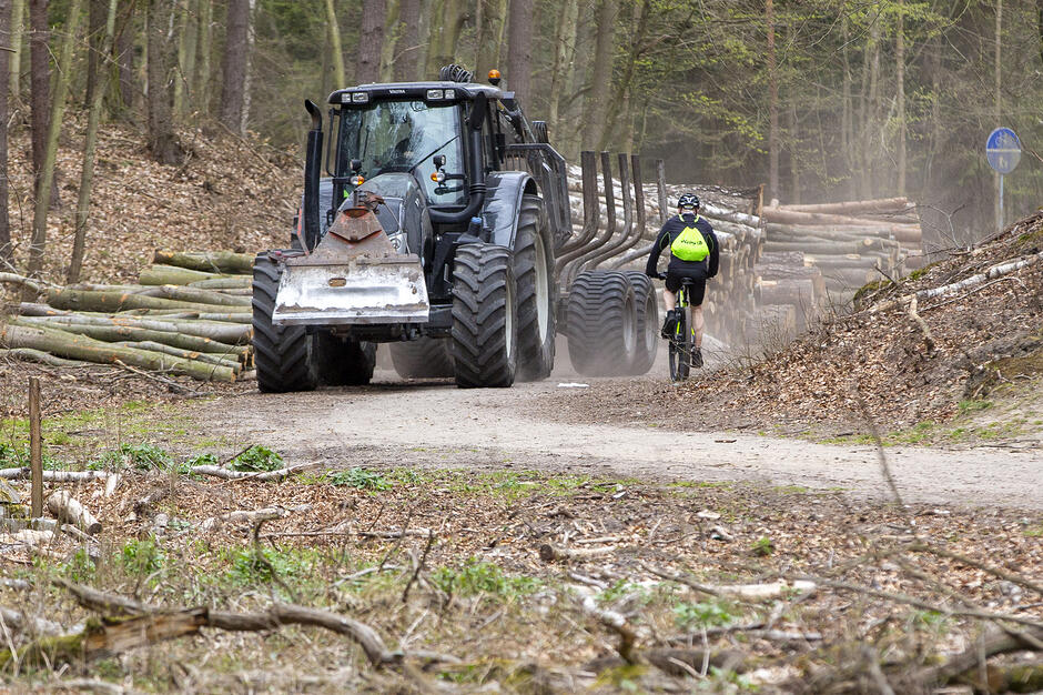 Droga leśną jedzie ciągnik, mija go rowerzysta, na poboczu leżą stosy ściętego drewna.