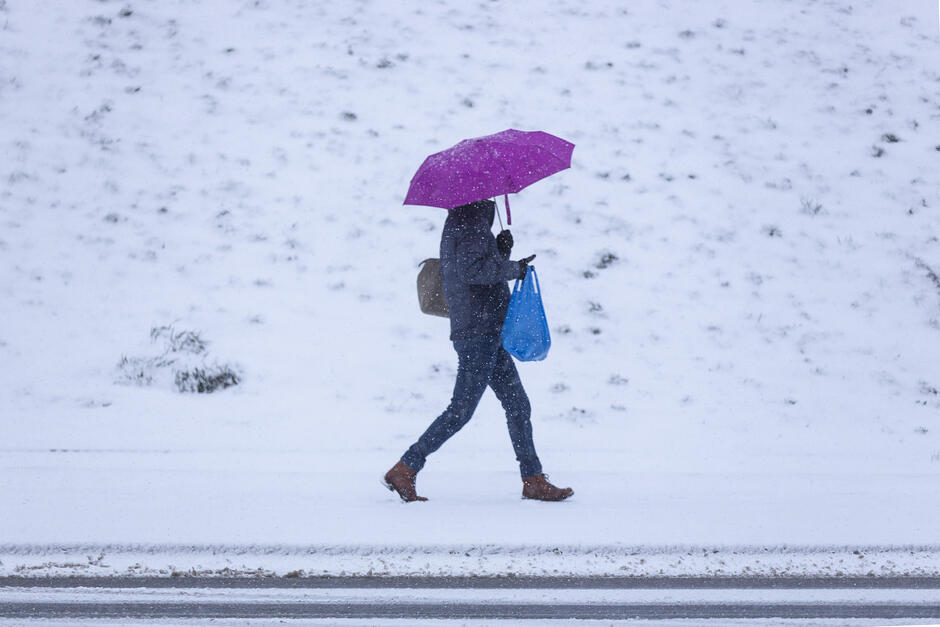 kobieta z fioletowym parasolem. Idzie w śnieżnej scenerii podczas opadów śniegu