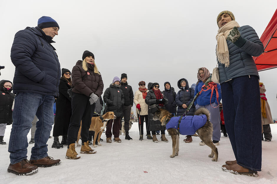Terapeutyczny spacer z psami ze schroniska Promyk - połączenie aktywności fizycznej , kontaktu z naturą i dobrostanu psychicznego