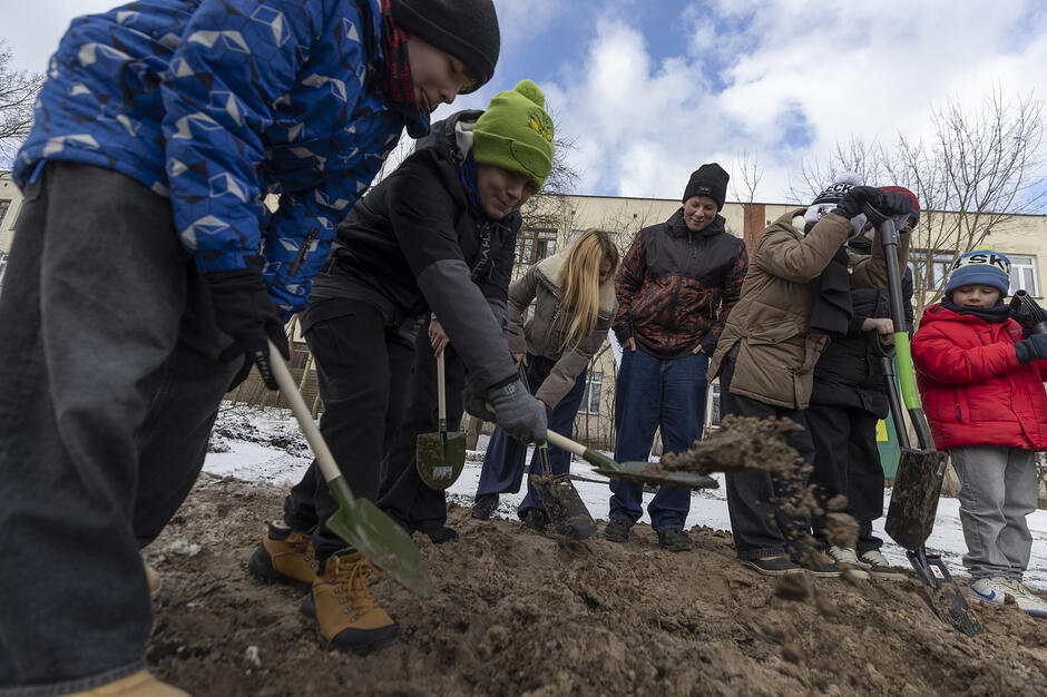 na zdjeciu młodzi uczniowie kopiący ziemię łopatami